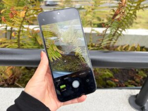 realme C100